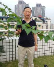 大栅栏